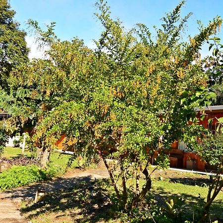 Elida Trails & Eco-Lodge Monteverde 外观 照片